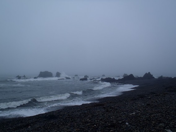 Chilensk kustlinje med klippor. Foto Freya Hoffmeister