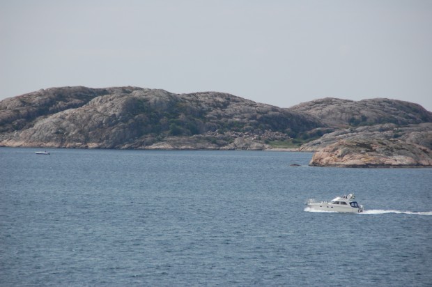 Norra Dyngön Fjällbacka skärgård