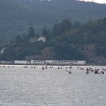 orust runt 2012 Ljungskileviken paddling